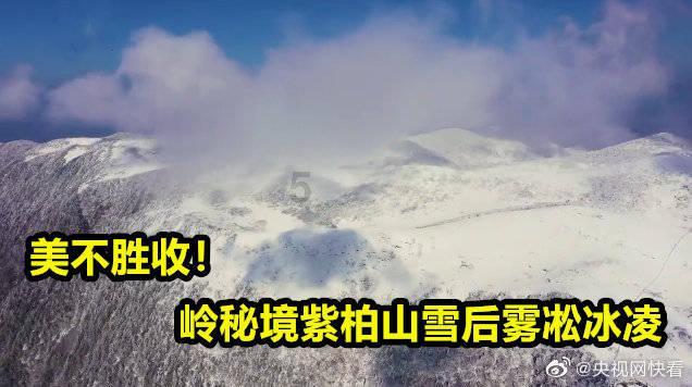 战争机器