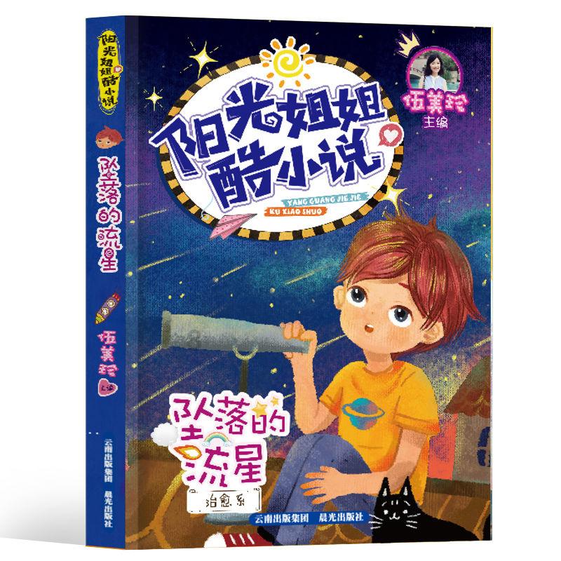 孤独的流浪者救援